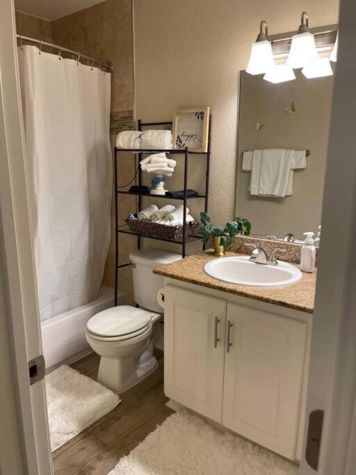 Beautiful/Spacious 2 Bedroom Houston Near Galleria Exterior foto
