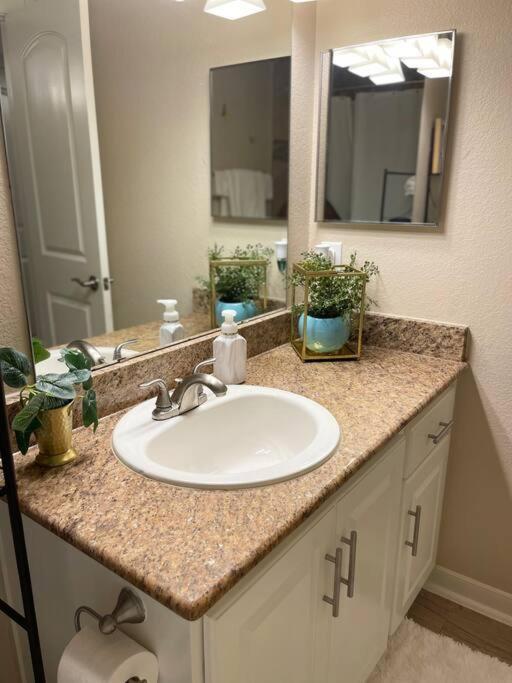 Beautiful/Spacious 2 Bedroom Houston Near Galleria Exterior foto